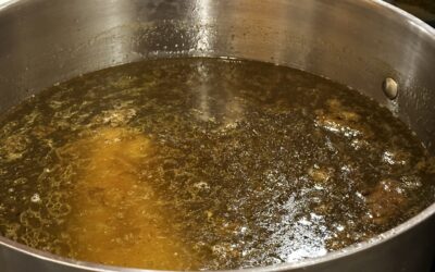 Beef Bone broth for pets